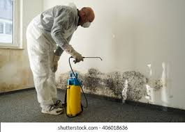 Trusted Tallulah, LA Mold Removal Services Experts